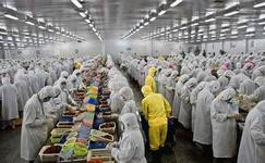 上海電商冷庫建造、運營