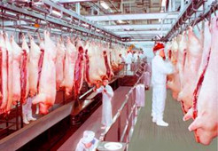 天貓超市電商冷庫建造、運營