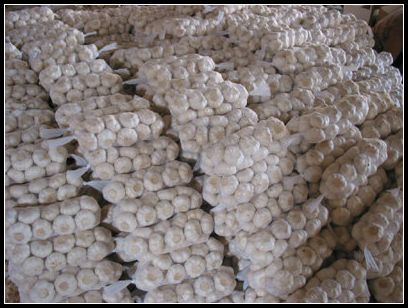 大蒜保鮮冷庫設計，冷庫安裝要求