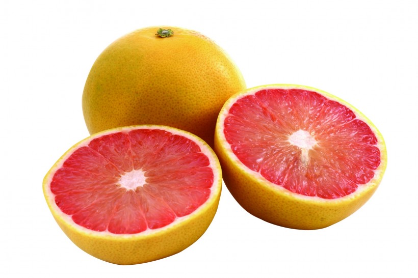 水果西柚氣調(diào)庫保鮮方法冷庫安裝設計