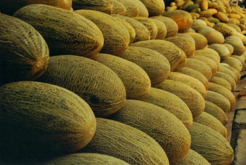 建一座哈密瓜保鮮庫需要多少投資？冷庫設(shè)備費(fèi)用