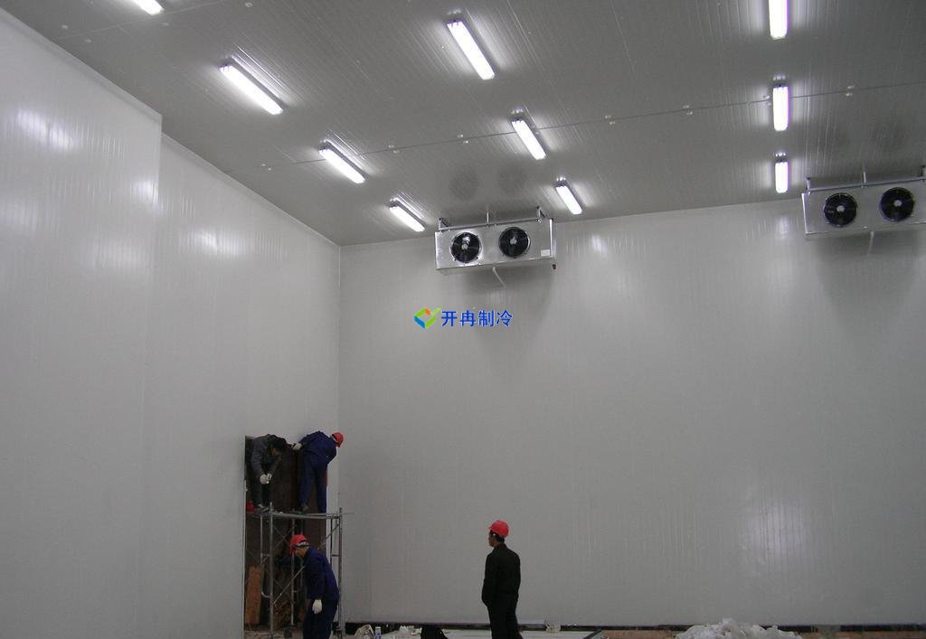 5000噸大蒜需建多大冷庫,冷庫造價(jià)多少錢