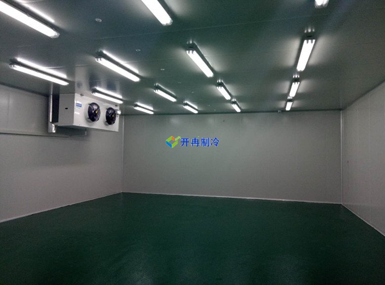上海供應生鮮低溫倉儲施工安裝總投資要多少錢  冷庫內(nèi)景圖片